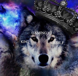 Meet your Posher, Sharksoop